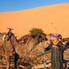 Excursión por el desierto de Marrakech