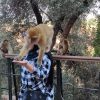 Mono jugando con Turista
