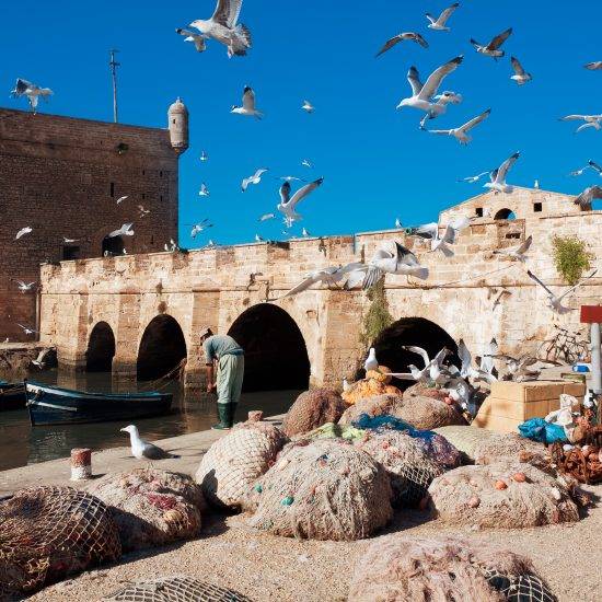 Puerto Essaouira con pescado